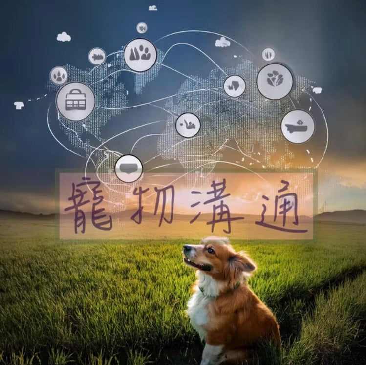 🐾寵物溝通︱24小時內回覆︱解鎖毛小孩內心世界，專業寵物溝通服務🐾