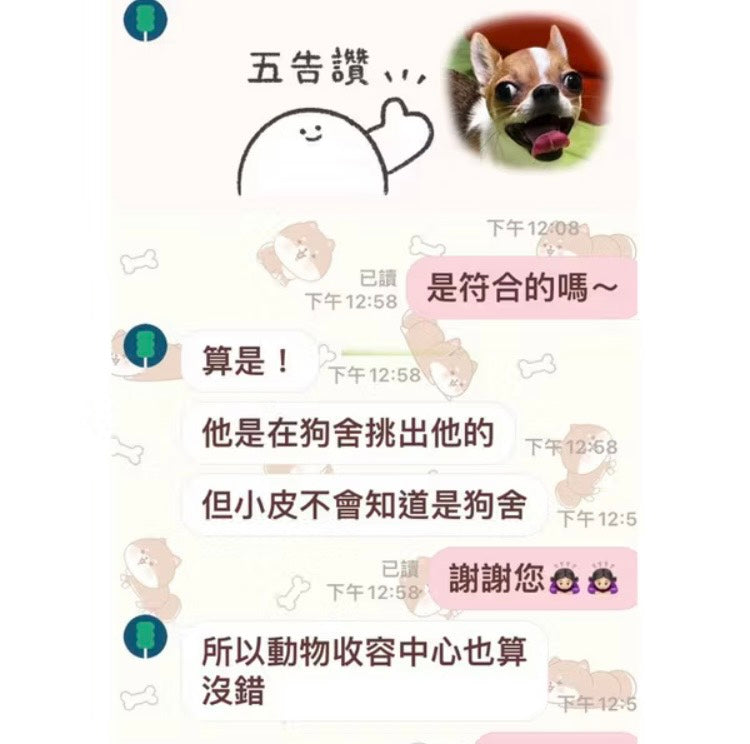 🐾寵物溝通︱24小時內回覆︱解鎖毛小孩內心世界，專業寵物溝通服務🐾